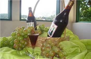 festa da uva e do vinho